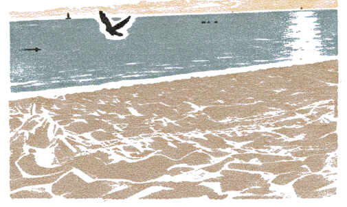 Rubber stamp of beach, sunset, bird, Honolulu, HI