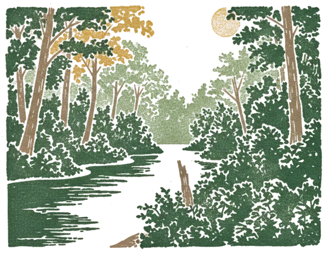 Rubber stamp of creek, canopy, light, Hocking Hills, OH