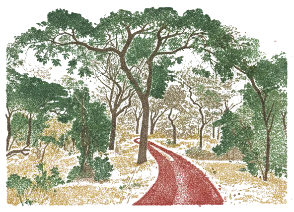 Rubber stamp of track, trees, red, Mole National Park, Ghana