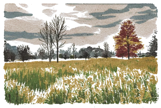 Rubber stamp of meadow, autumn, dusk, Hocking Hills, OH