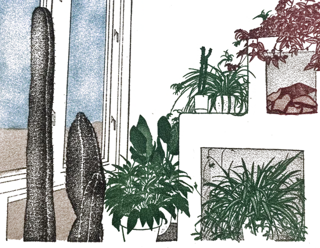 Rubber stamp of cactus, window, plants, Columbus, OH