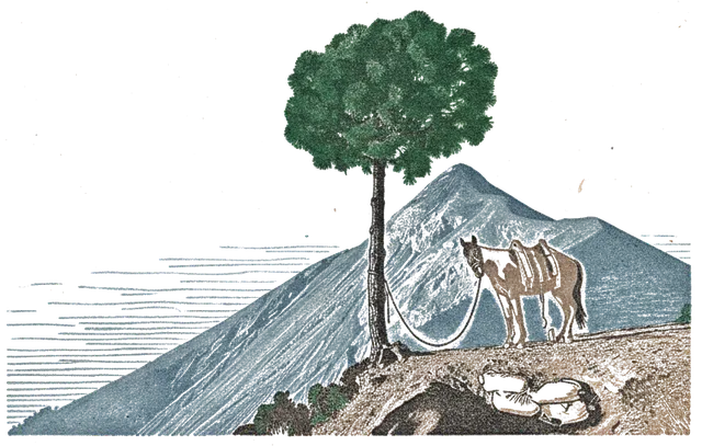 Rubber stamp of tree, dog, summit, Volcán de Fuego, Guatemala