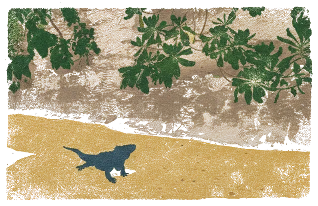 Rubber stamp of iguana, sand, shade, Xcaret, Mexico