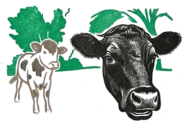 Rubber stamp of cows, pasture, willow, Hartford, WI