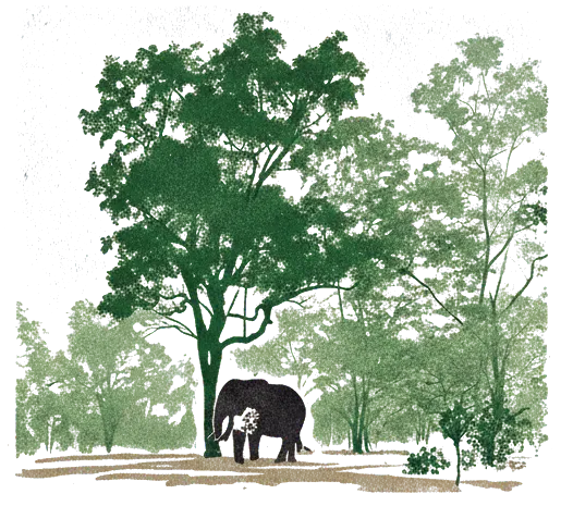 Rubber stamp of elephant, tree, savanna, Mole National Park, Ghana