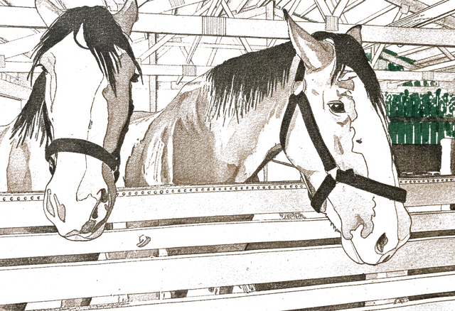 Rubber stamp of horses, barn, stall, Hartford, WI