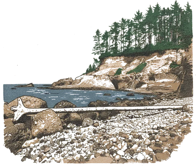 Rubber stamp of log, tidepools, cove, Lincoln City, OR
