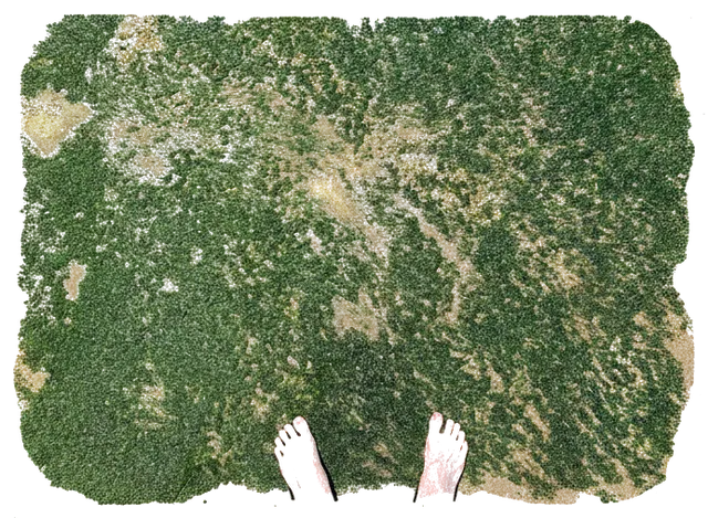 Rubber stamp of feet, lichen, rock, Lincoln City, OR