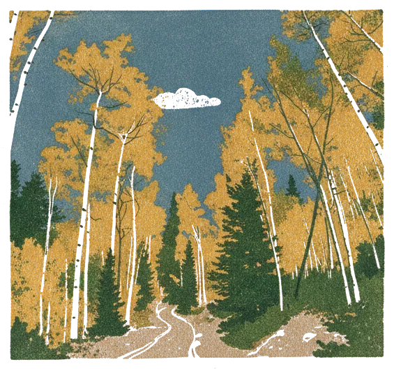 Rubber stamp of aspens, gold, trail, Rocky Mountains, CO