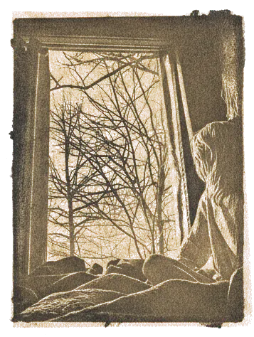 Rubber stamp of window, branches, morning, Dundee, OH