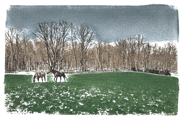Rubber stamp of horses, pasture, trees, Utica, OH