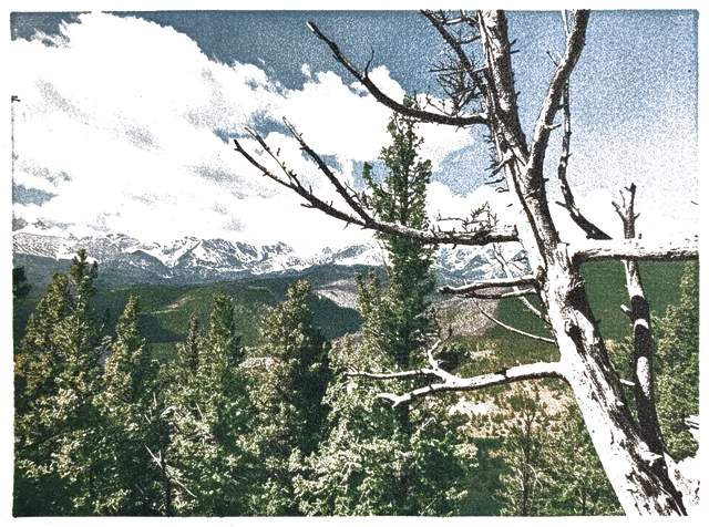 Rubber stamp of snag, pines, peaks, Estes Park, CO
