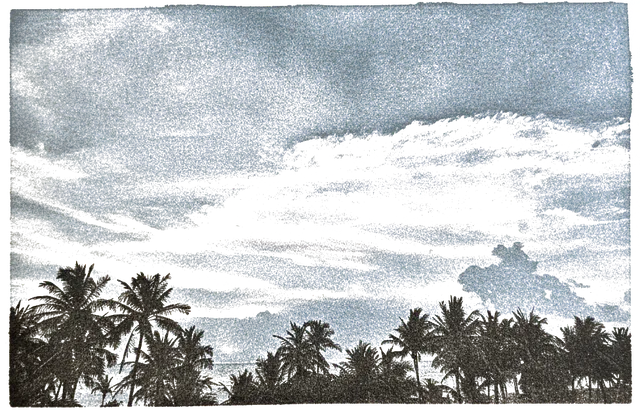 Rubber stamp of palms, clouds, dusk, Miami, FL