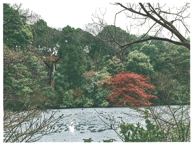 Rubber stamp of pond, heron, trees, Tokyo, Japan