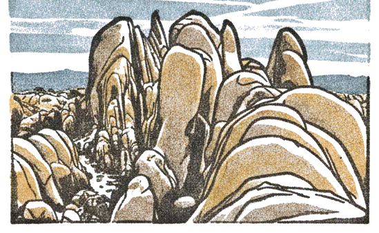 Rubber stamp of boulders, dusk, desert, Joshua Tree, CA