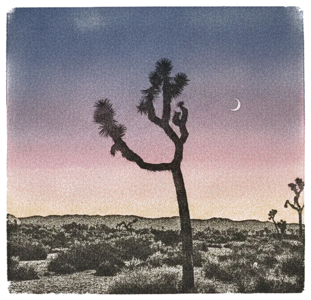 Rubber stamp of yucca, twilight, gradient, Joshua Tree, CA