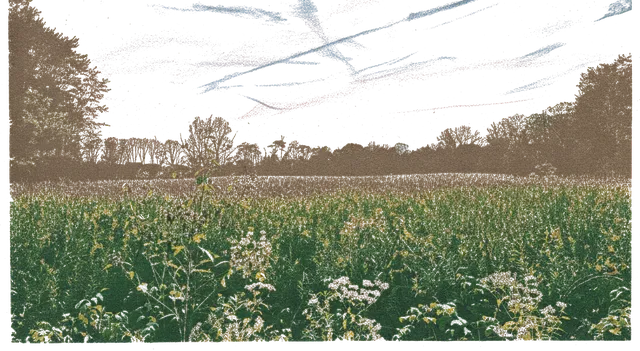 Rubber stamp of sunset, meadow, streaks, Delaware, OH