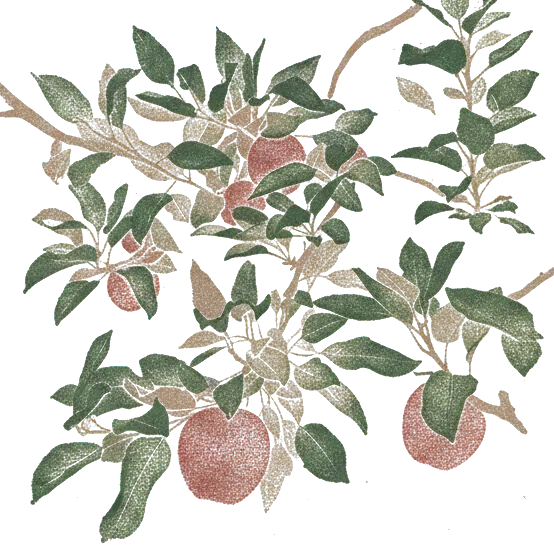 Rubber stamp of apples, orchard, leaves, Pataskala, OH