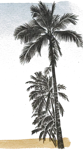 Rubber stamp of palm, dusk, fronds, Honolulu, HI